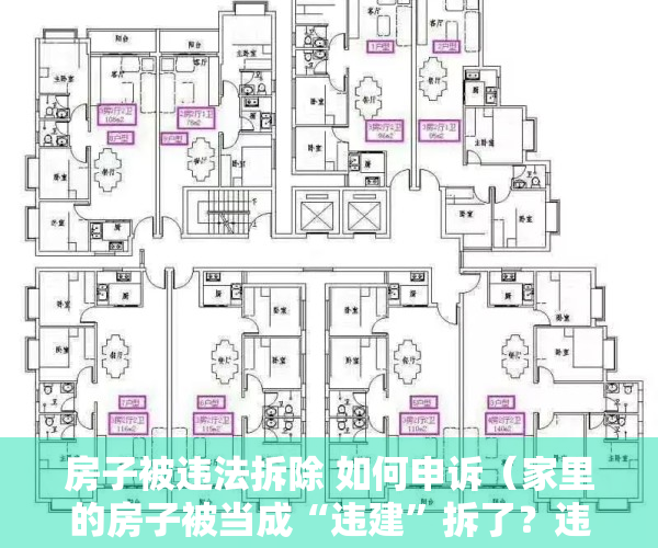 房子被违法拆除 如何申诉（家里的房子被当成“违建”拆了？违法！赔偿269万！）