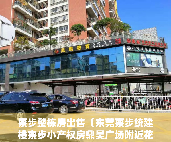 寮步整栋房出售（东莞寮步统建楼寮步小产权房鼎昊广场附近花园小区房【时代天境】精品复式楼现房发售首付3成银行分期8年）