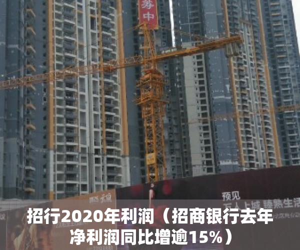 招行2020年利润（招商银行去年净利润同比增逾15%）