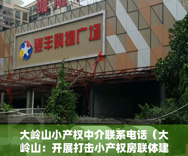 大岭山小产权中介联系电话（大岭山：开展打击小产权房联体建设违法行为专项整治）