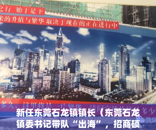新任东莞石龙镇镇长（东莞石龙镇委书记带队“出海”，招商硕果累累）(东莞石龙镇党委成员)