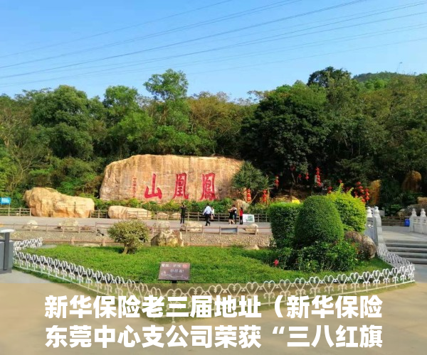 新华保险老三届地址（新华保险东莞中心支公司荣获“三八红旗集体”称号）