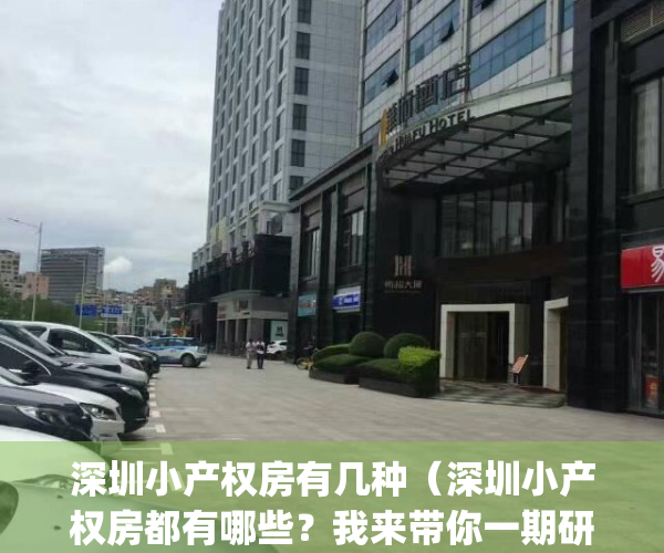 深圳小产权房有几种（深圳小产权房都有哪些？我来带你一期研究）(深圳小产权房何去何从)