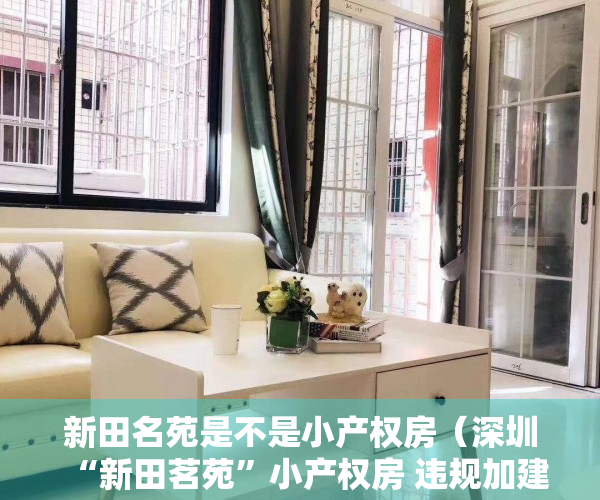 新田名苑是不是小产权房（深圳“新田茗苑”小产权房 违规加建近2万平方米、项目获利超2亿元）