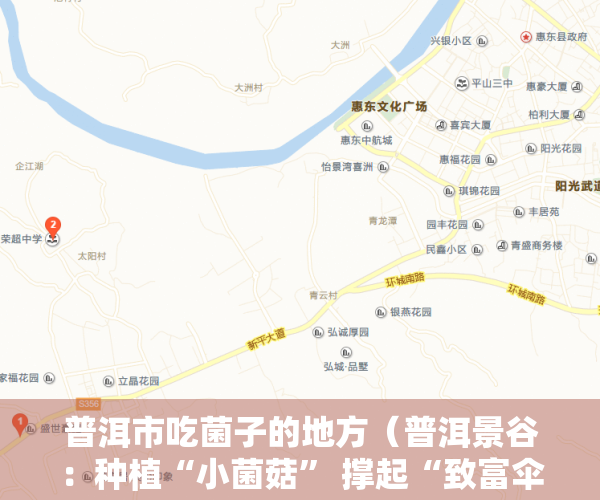 普洱市吃菌子的地方（普洱景谷：种植“小菌菇” 撑起“致富伞”）