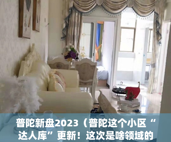 普陀新盘2023（普陀这个小区“达人库”更新！这次是啥领域的？）(普陀在售楼盘)
