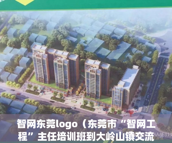 智网东莞logo（东莞市“智网工程”主任培训班到大岭山镇交流经验）(智网东莞app下载安装)