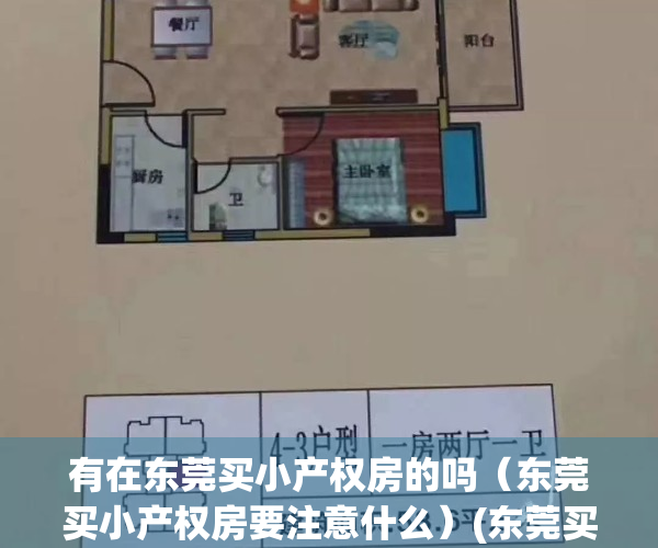 有在东莞买小产权房的吗（东莞买小产权房要注意什么）(东莞买小产权房注意事项和手续)