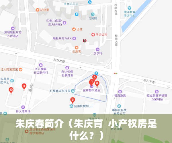 朱庆春简介（朱庆育  小产权房是什么？）