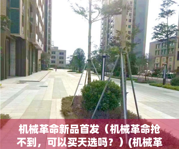 机械革命新品首发（机械革命抢不到，可以买天选吗？）(机械革命能不能买)