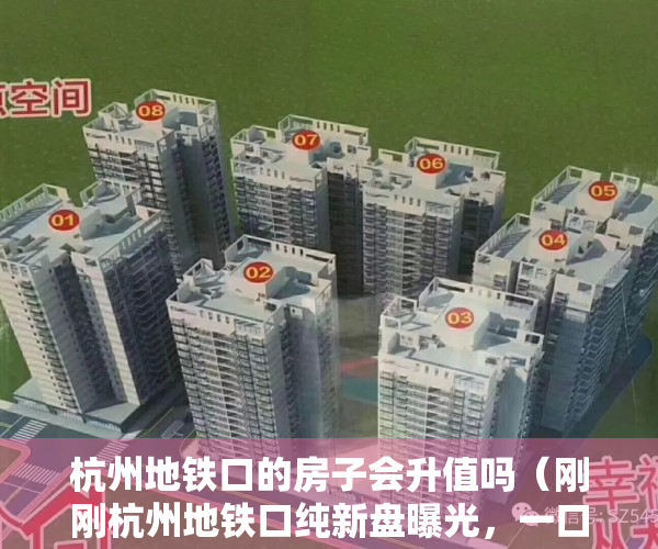 杭州地铁口的房子会升值吗（刚刚杭州地铁口纯新盘曝光，一口气推391套精装房，马上开盘）