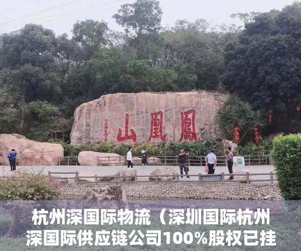 杭州深国际物流（深圳国际杭州深国际供应链公司100%股权已挂牌出售 价格1013亿）