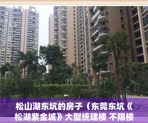 松山湖东坑的房子（东莞东坑《松湖紫金城》大型统建楼 不限楼层朝向2680元超低价）