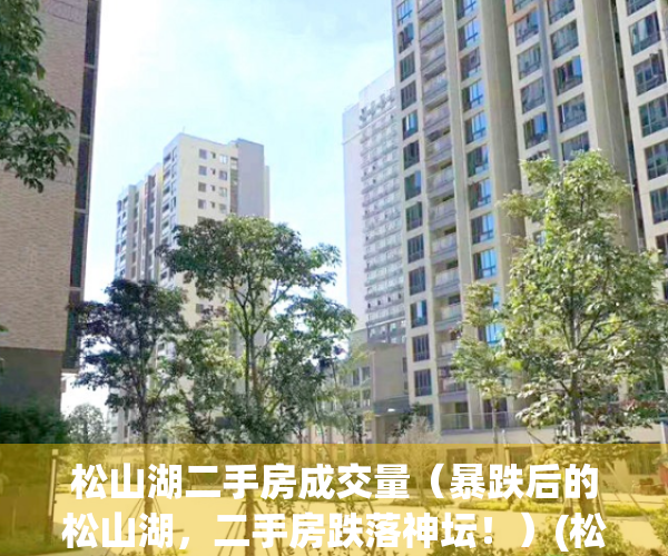 松山湖二手房成交量（暴跌后的松山湖，二手房跌落神坛！）(松山湖二手房限购吗)