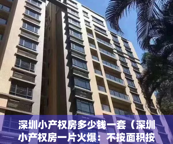 深圳小产权房多少钱一套（深圳小产权房一片火爆：不按面积按套卖）(深圳小产权房一般多少钱)