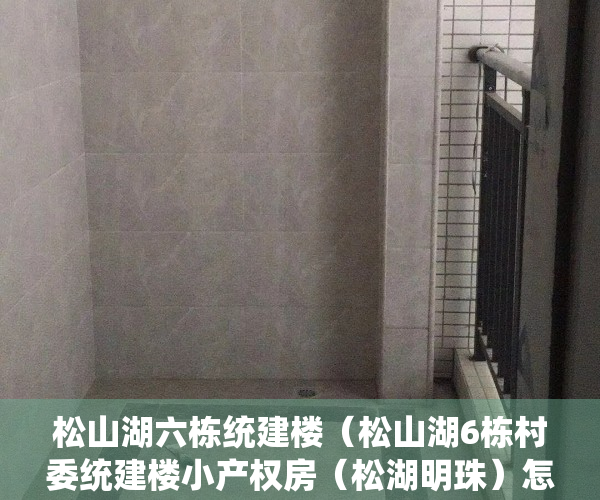 松山湖六栋统建楼（松山湖6栋村委统建楼小产权房（松湖明珠）怎么样？发绿本吗？）