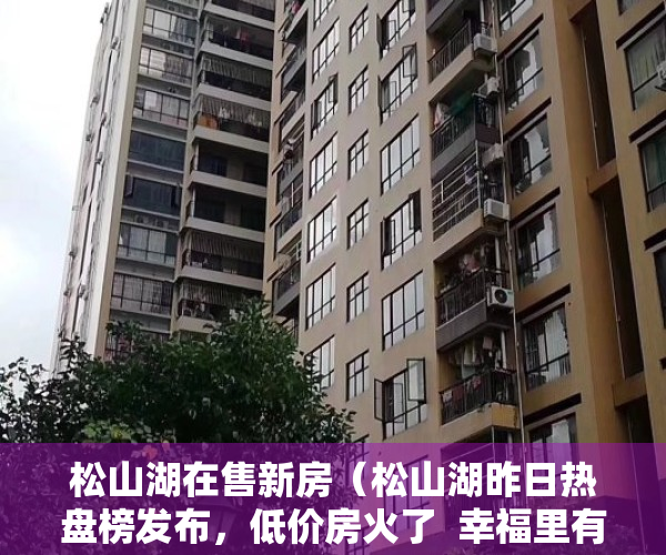 松山湖在售新房（松山湖昨日热盘榜发布，低价房火了  幸福里有好房）