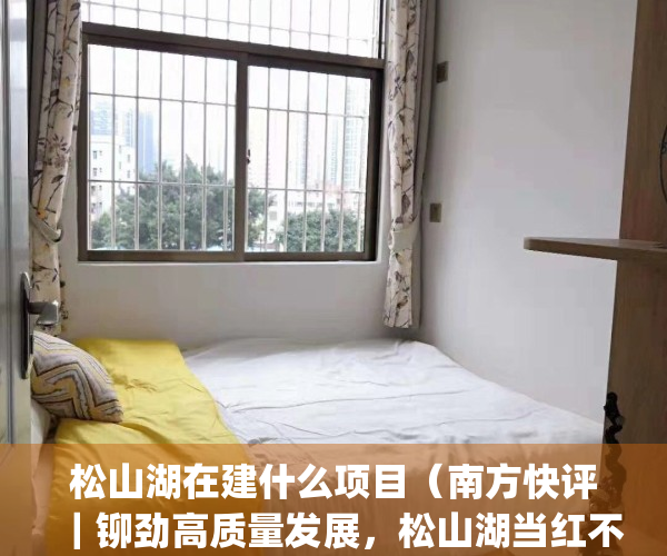 松山湖在建什么项目（南方快评｜铆劲高质量发展，松山湖当红不让）(松山湖近期建设规划)