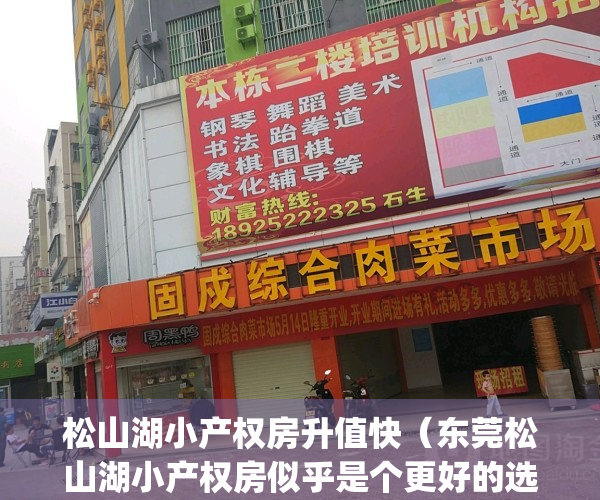 松山湖小产权房升值快（东莞松山湖小产权房似乎是个更好的选择）(松山湖的小产权房有什么风险)