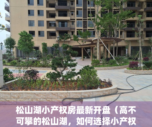 松山湖小产权房最新开盘（高不可攀的松山湖，如何选择小产权房？）(东莞松山湖附近小产权怎么样)