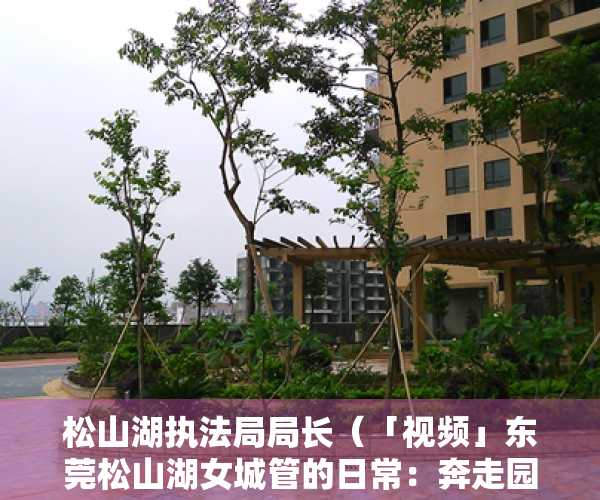 松山湖执法局局长（「视频」东莞松山湖女城管的日常：奔走园区各处，大街小巷就是“办公室”）