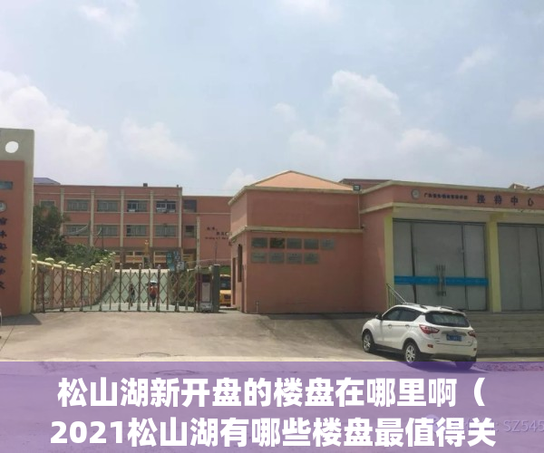 松山湖新开盘的楼盘在哪里啊（2021松山湖有哪些楼盘最值得关注）(松山湖在售新楼盘)
