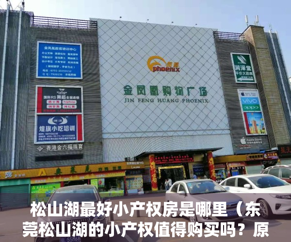 松山湖最好小产权房是哪里（东莞松山湖的小产权值得购买吗？原因有哪些？松山湖大朗发展规划）
