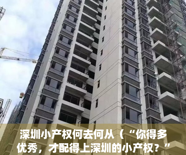深圳小产权何去何从（“你得多优秀，才配得上深圳的小产权？”）(深圳小产权有哪些)