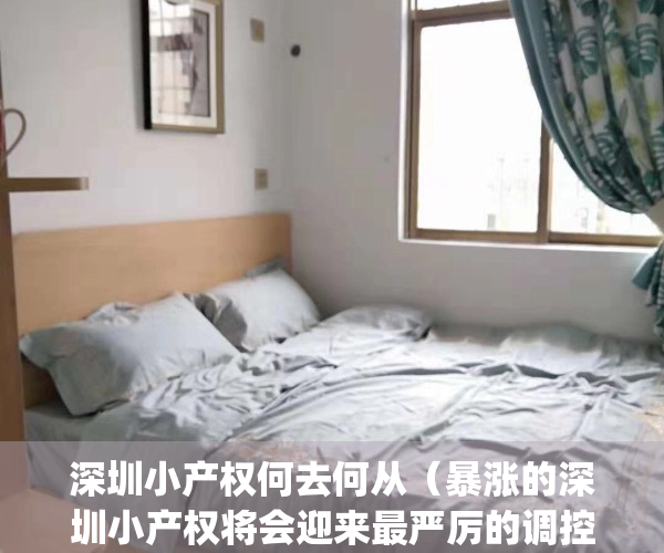 深圳小产权何去何从（暴涨的深圳小产权将会迎来最严厉的调控打击）(2020深圳小产权房最新消息)