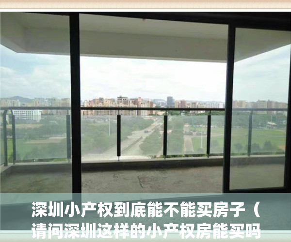 深圳小产权到底能不能买房子（请问深圳这样的小产权房能买吗？）(深圳小产权房可以购买吗)