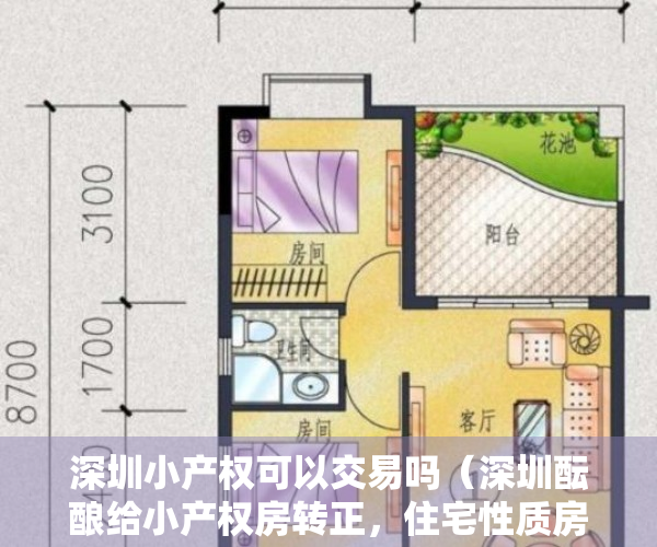 深圳小产权可以交易吗（深圳酝酿给小产权房转正，住宅性质房产却转正无望）