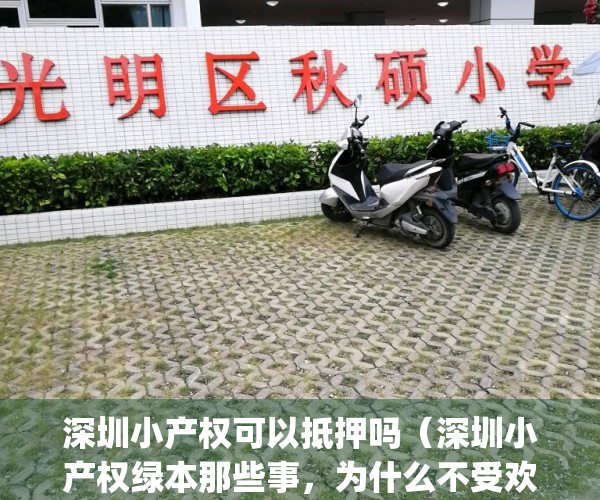 深圳小产权可以抵押吗（深圳小产权绿本那些事，为什么不受欢迎）(深圳小产权能抵押贷款吗)