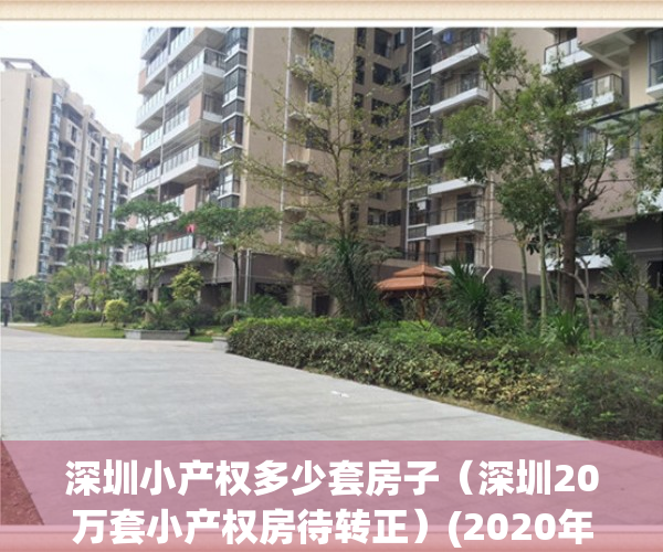 深圳小产权多少套房子（深圳20万套小产权房待转正）(2020年深圳小产权现状)