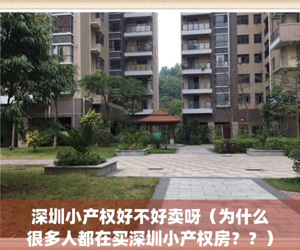 深圳小产权好不好卖呀（为什么很多人都在买深圳小产权房？？）(深圳小产权值不值得买)