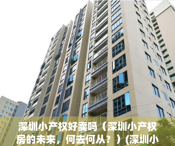 深圳小产权好卖吗（深圳小产权房的未来，何去何从？）(深圳小产权房值不值得买)