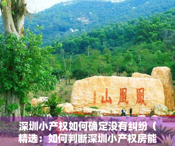 深圳小产权如何确定没有纠纷（精选：如何判断深圳小产权房能不能买？）