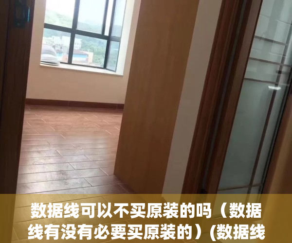 数据线可以不买原装的吗（数据线有没有必要买原装的）(数据线不用原装)