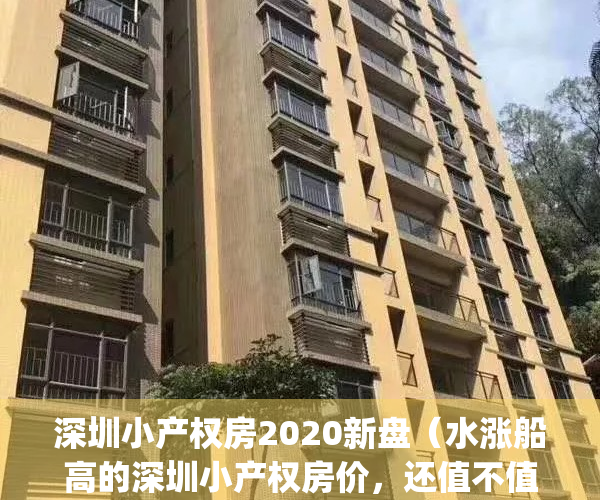 深圳小产权房2020新盘（水涨船高的深圳小产权房价，还值不值得入手？）(深圳 小产权 房价)