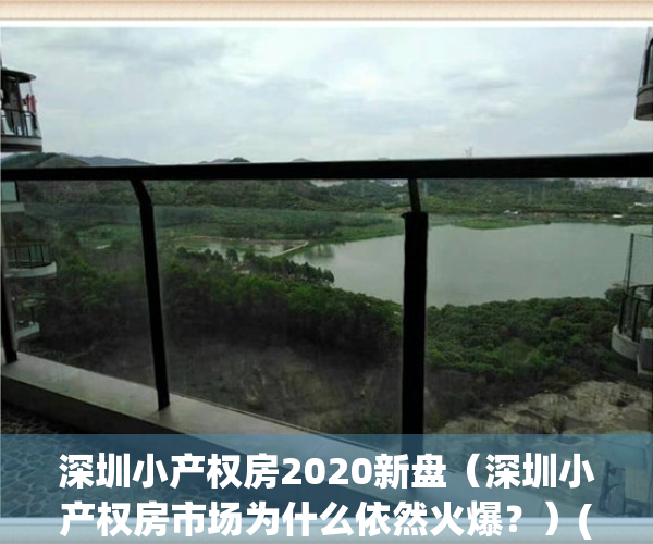 深圳小产权房2020新盘（深圳小产权房市场为什么依然火爆？）(深圳小产权房大全)