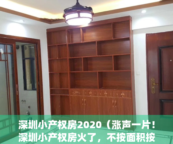 深圳小产权房2020（涨声一片！深圳小产权房火了，不按面积按套卖！）(2021年深圳小产权房新政)