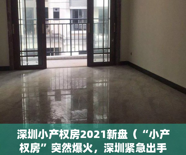 深圳小产权房2021新盘（“小产权房”突然爆火，深圳紧急出手了！）(深圳小产权房何去何从)