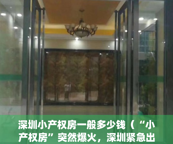 深圳小产权房一般多少钱（“小产权房”突然爆火，深圳紧急出手了）(深圳小产权房多少一平)