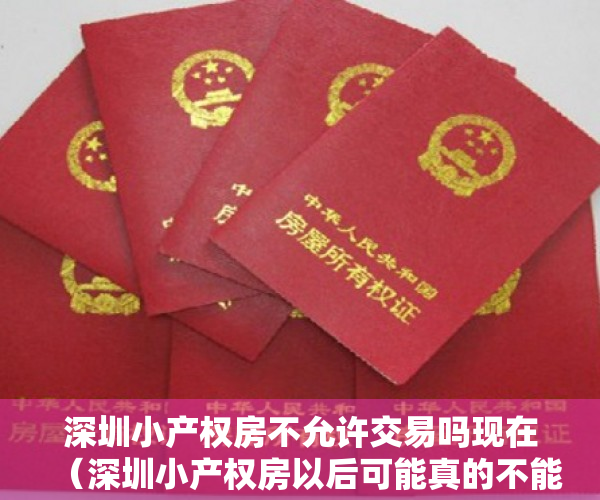 深圳小产权房不允许交易吗现在（深圳小产权房以后可能真的不能交易了）