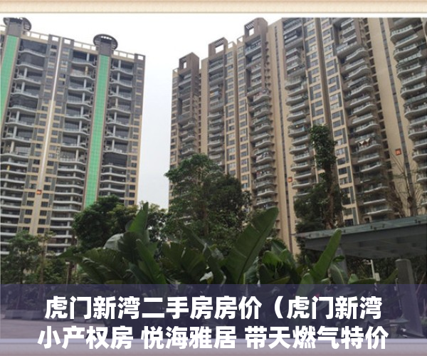 虎门新湾二手房房价（虎门新湾小产权房 悦海雅居 带天燃气特价3800）