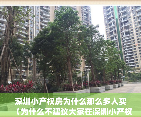 深圳小产权房为什么那么多人买（为什么不建议大家在深圳小产权房）(深圳那么多小产权房怎么处理)