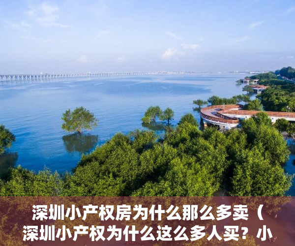 深圳小产权房为什么那么多卖（深圳小产权为什么这么多人买？小产权房圆了许多人在深圳住房梦！）