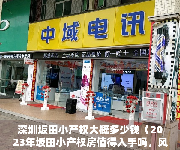 深圳坂田小产权大概多少钱（2023年坂田小产权房值得入手吗，风险大吗）