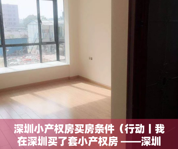 深圳小产权房买房条件（行动丨我在深圳买了套小产权房 ——深圳小产权房购买攻略来自一位小姐姐的买房心得请查收！）