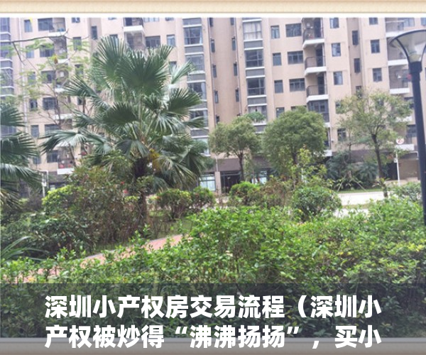 深圳小产权房交易流程（深圳小产权被炒得“沸沸扬扬”，买小产权的群体真的是在炒房吗？）