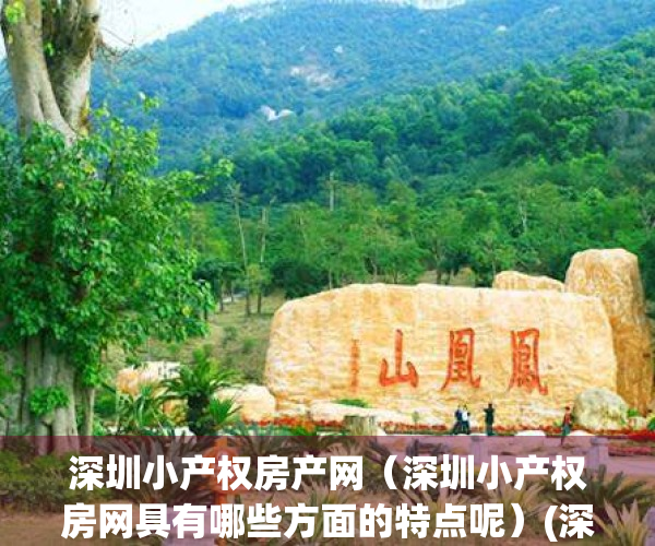 深圳小产权房产网（深圳小产权房网具有哪些方面的特点呢）(深圳最新小产权房网)